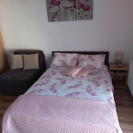 Apartman Moka Banja Koviljaca Exterior photo